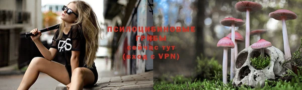гидра Кинешма