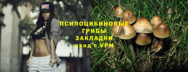гидра Кинешма