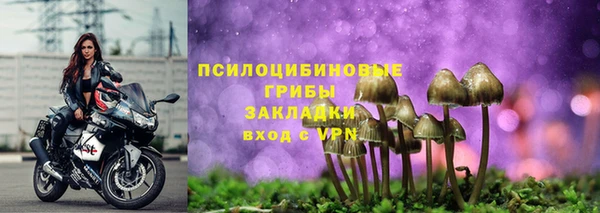 mix Козельск