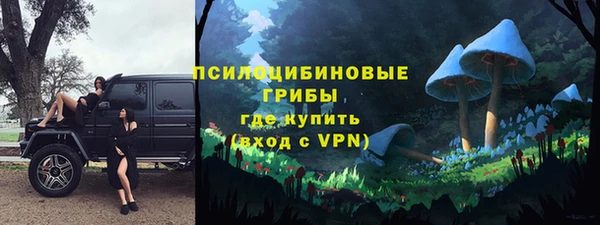 первитин Козловка
