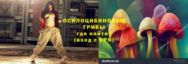 ECSTASY Каменск-Шахтинский