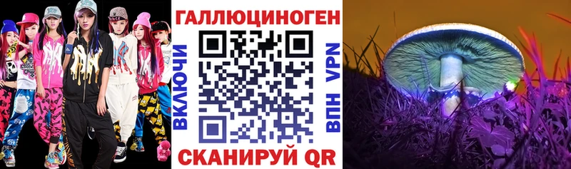 shop официальный сайт  цена   Малоярославец  Галлюциногенные грибы Psilocybine cubensis 