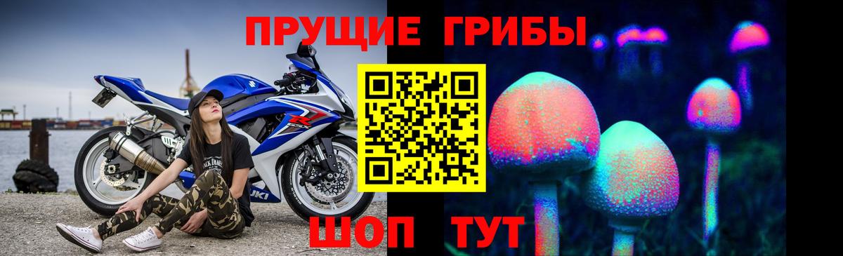 Малоярославец  Галлюциногенные грибы Psilocybine cubensis  Вход с VPN  Галлюциногенные грибы мицелий 